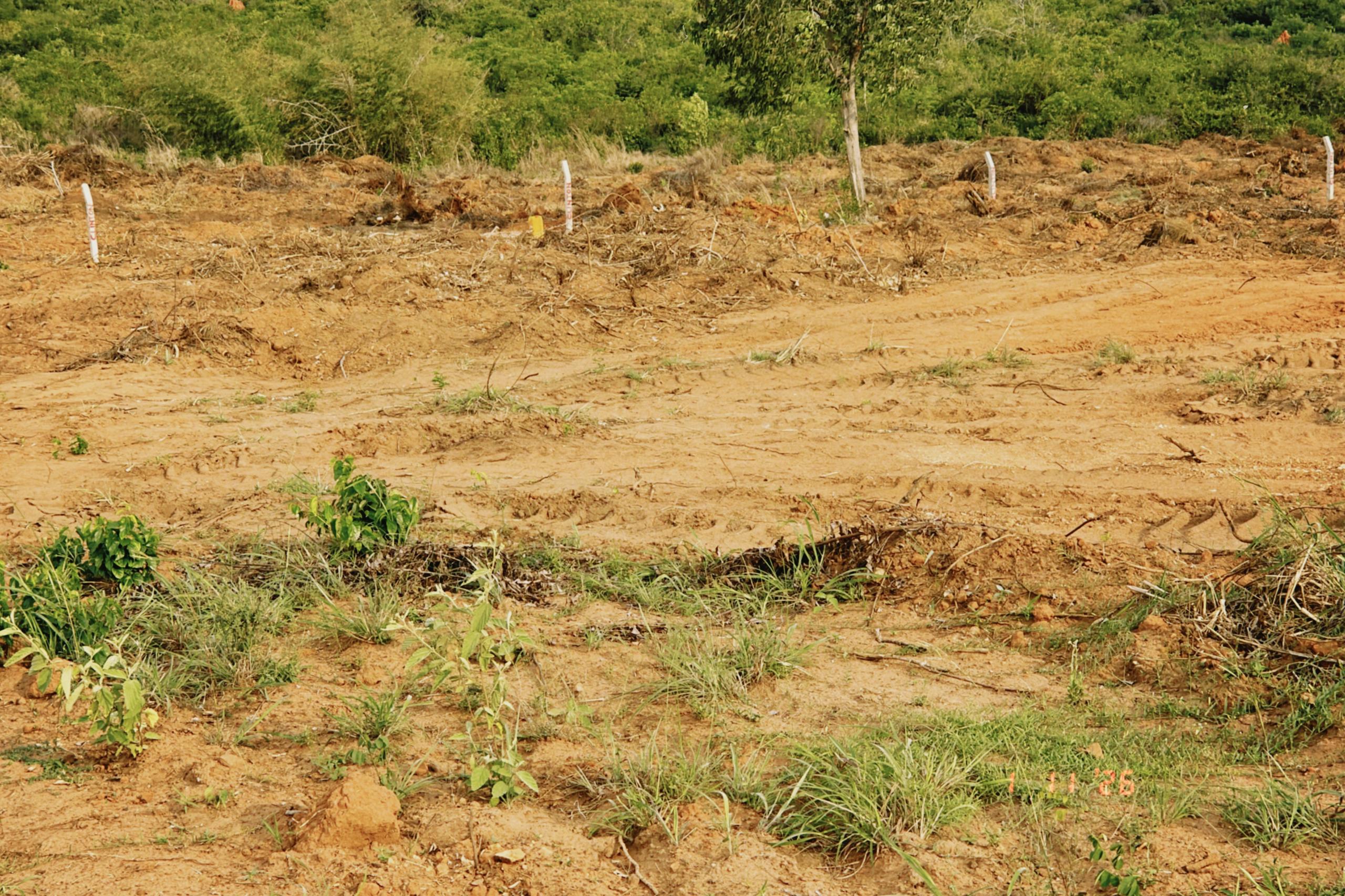 Land in Awutusenia 3